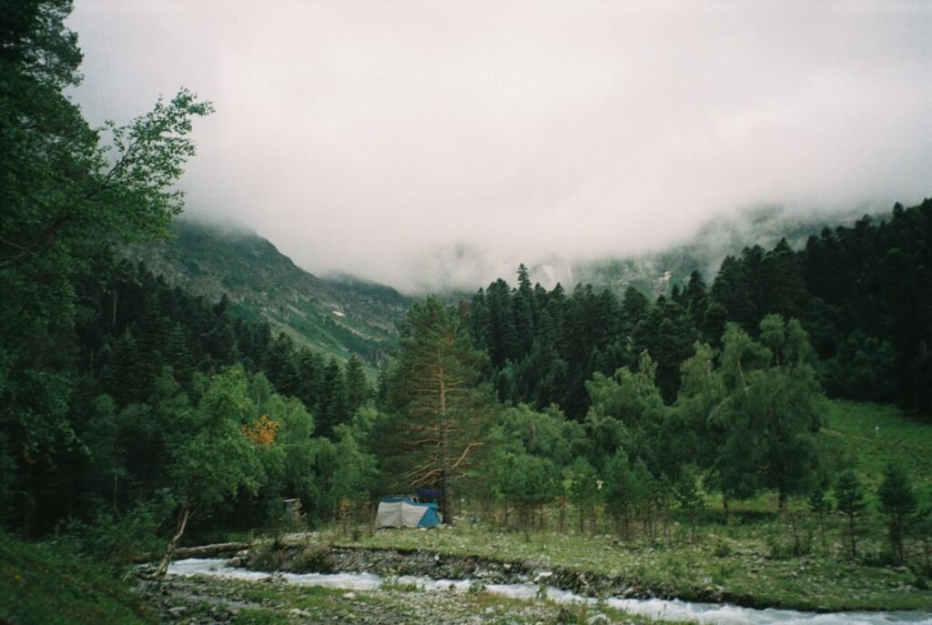 Peaceful campsite in Arkhyz, Russia surrounded by lush forest and misty mountains.